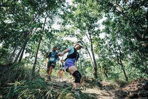 BIB: 
                            <button type="button" onclick="openModal(25987105)" class="btn btn-primary btn-sm float-right btn-popup" data-toggle="modal" data-target=".modal-high-quality">
                        <i class="fas fa-shopping-cart"></i> Add to Cart
                    </button>
                                            <button type="button" onclick="isThisMe(25987105, true)" class="btn btn-success btn-sm float-right btn-popup btn-isme hidden" data-toggle="tooltip" data-placement="bottom" title="นี่คือรูปของคุณใช่ไหม คลิกที่นี่เพื่อเอาเข้าอัลบั้ม">
                        <i class="fas fa-plus"></i> Add to album
                    </button>
                    <button type="button" onclick="isThisMe(25987105, false)" class="btn btn-warning btn-sm float-right btn-popup btn-isnotme hidden">
                        <i class="fas fa-ban"></i> Remove from album
                    </button>